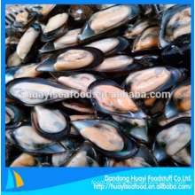 superior frozen half shell mussel exporter